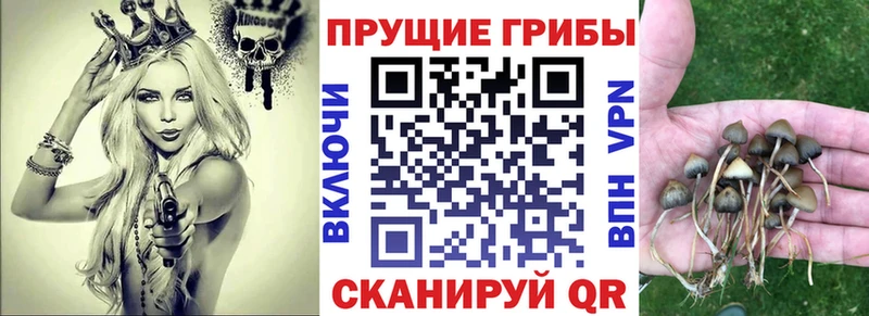 Галлюциногенные грибы GOLDEN TEACHER  где купить   Уварово 