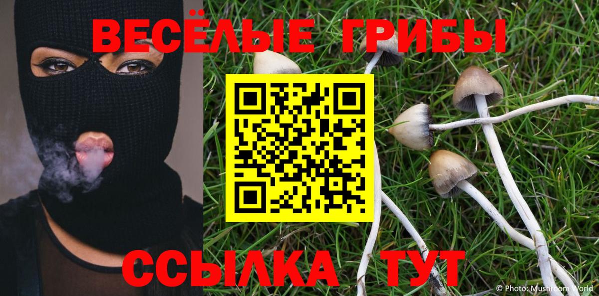 Псилоцибиновые грибы прущие грибы Уварово