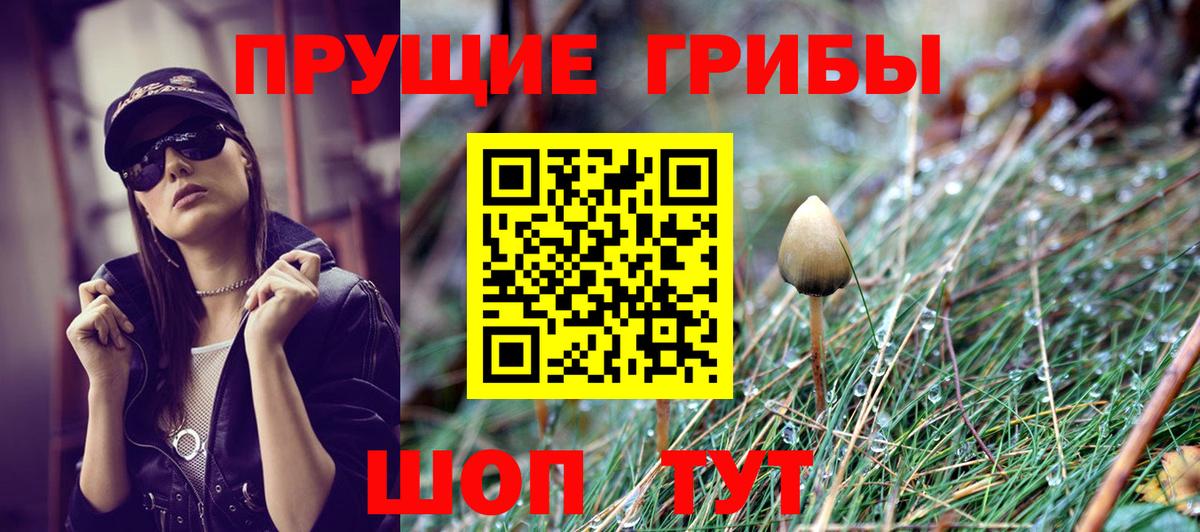 Галлюциногенные грибы Cubensis  Вход с VPN  Уварово 